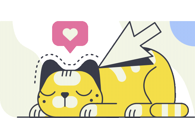Gato